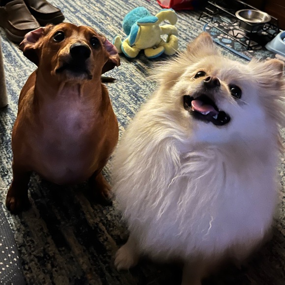 ✨Meet Your Seller/Buyer Jessie✨ - Picture 3 of 7